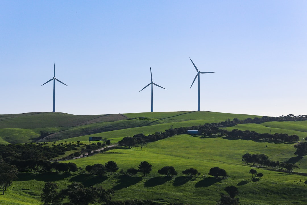 Mastering the First Impression: Your intriguing post title goes here A view of Starfish Hill Wind Farm in South Australia.